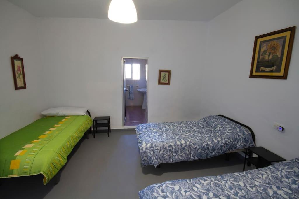 Vivienda Rural Cortijo De Liche Villa Arcos de la Frontera Luaran gambar